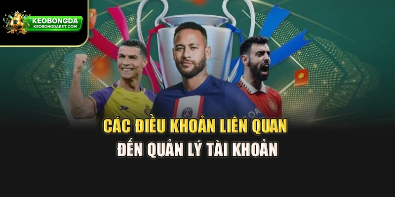 Các điều khoản liên quan đến quản lý tài khoản