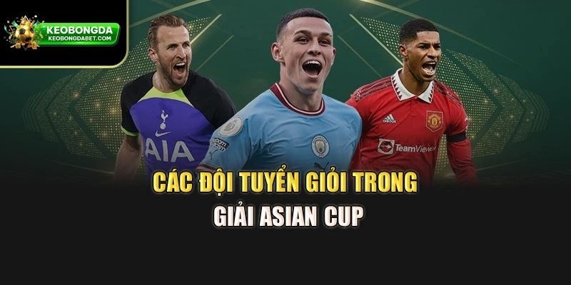Các đội tuyển giỏi trong giải Asian Cup