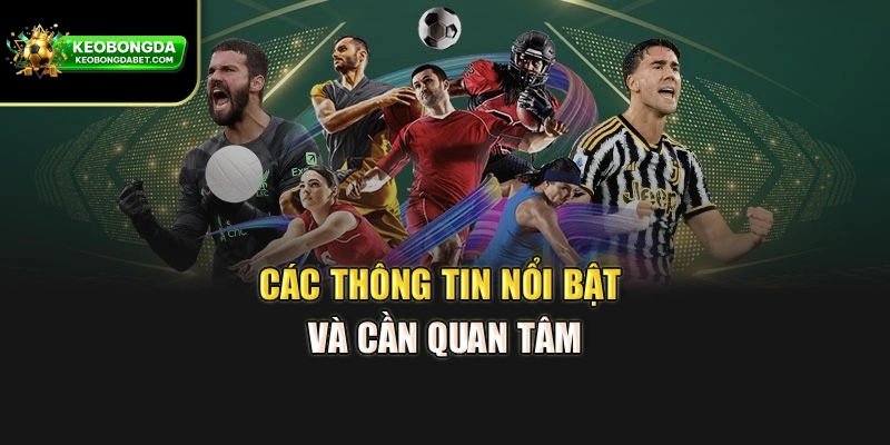 Các thông tin nổi bật và cần quan tâm