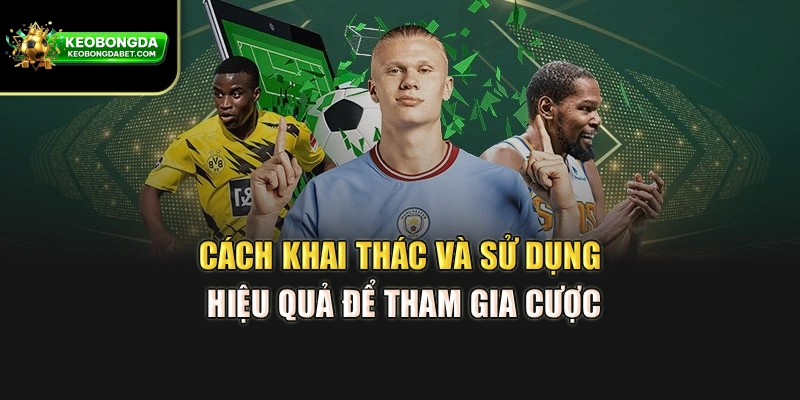 Cách khai thác và sử dụng hiệu quả để tham gia cược