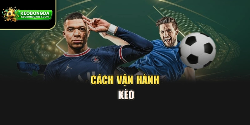Cách vận hành kèo
