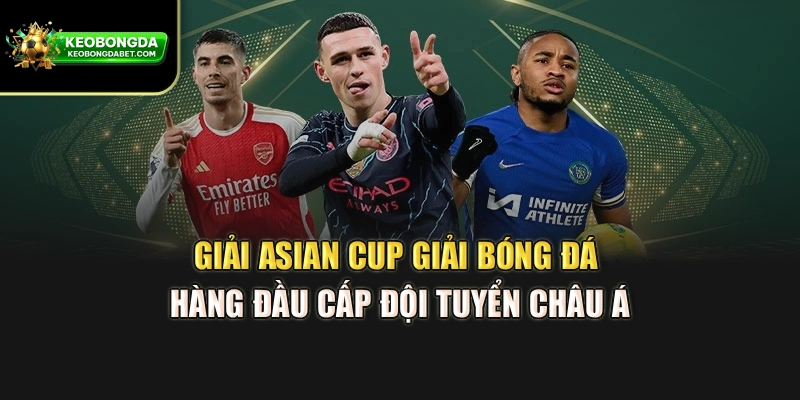 Giải Asian Cup – Giải Bóng Đá Hàng Đầu Cấp Đội Tuyển Châu Á