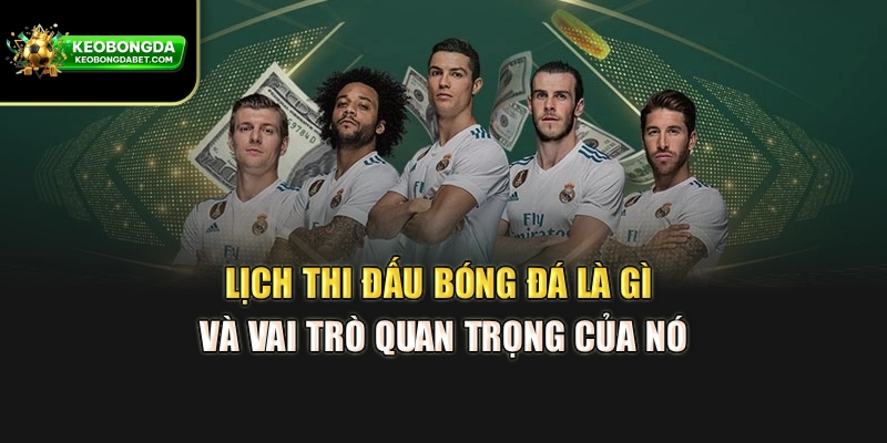 Lịch thi đấu bóng đá là gì và vai trò quan trọng của nó