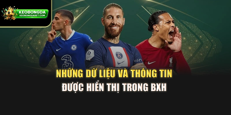 Những dữ liệu và thông tin được hiển thị trong BXH