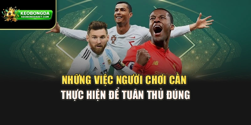 Những việc người chơi cần thực hiện để tuân thủ đúng