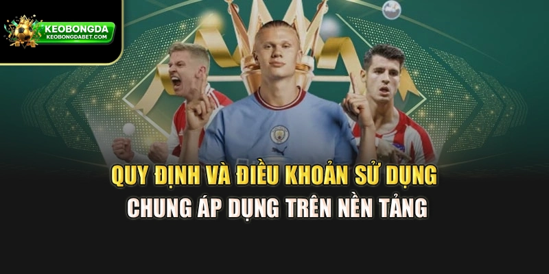 Quy định và điều khoản sử dụng chung áp dụng trên nền tảng